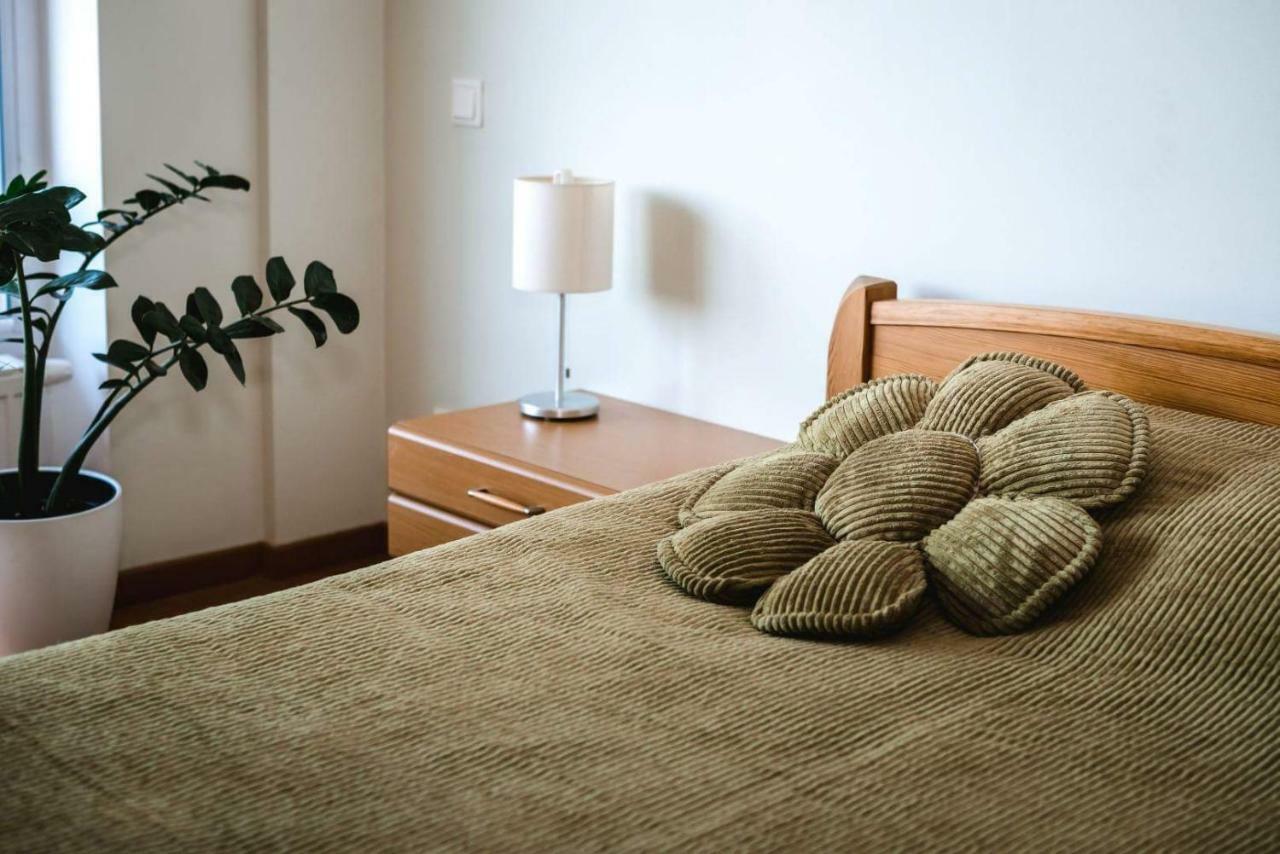 New Apartament Very Close To The City Centre VNO Esterno foto