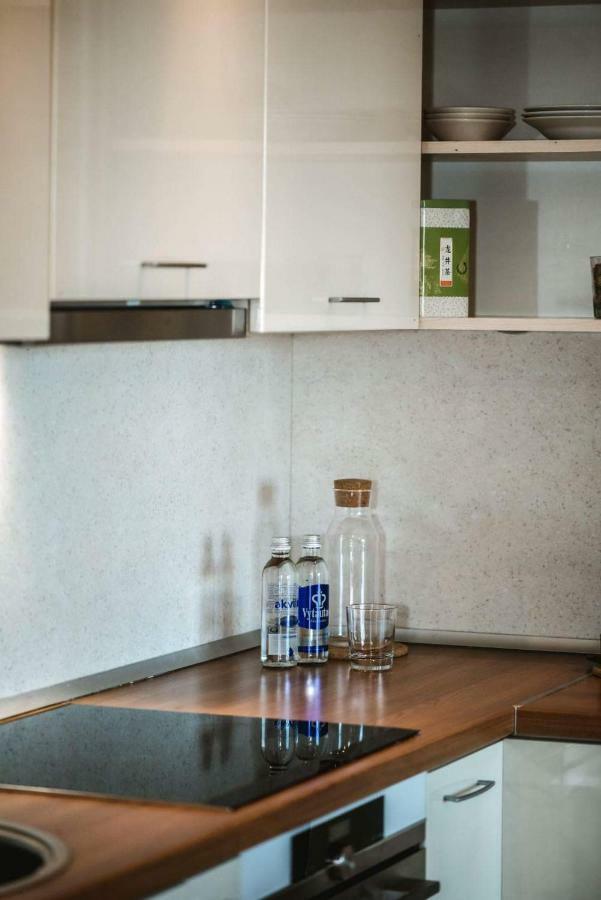New Apartament Very Close To The City Centre VNO Esterno foto